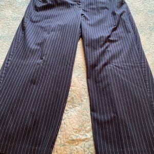 Lane Bryant Blue Striped Trousers